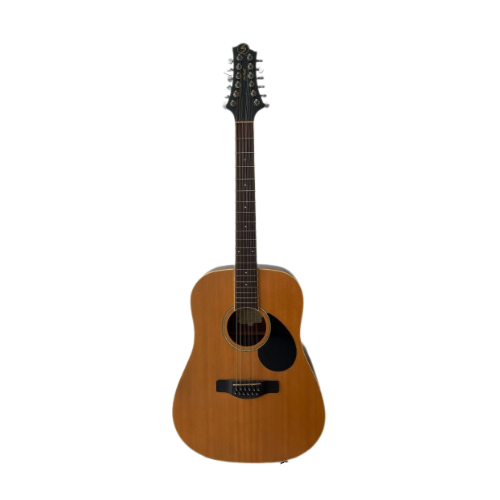 Greg Bennett D-2 12NS